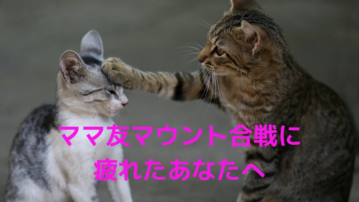 ママ友マウント合戦に疲れたあなたの話し聞きます 人間関係で一番難しいのは私はママ友だと思います。 イメージ1