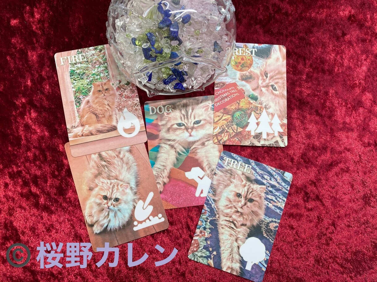 猫好きな方必見！こべびちゃんが占います 可愛い猫ちゃんのカードですが、アドバイスは的確！ イメージ6