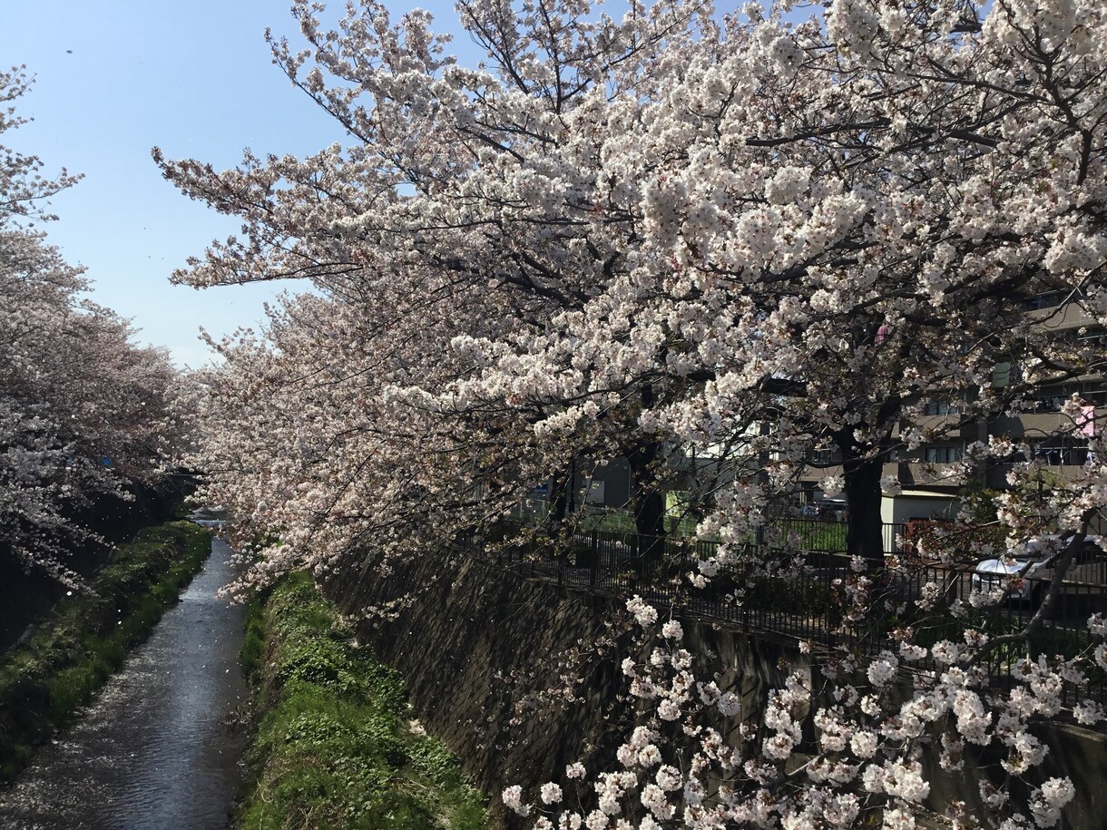 メッセージのやり取りでダイエットのお手伝いをします １週間、気持ちを安定させることで自然に体重が落ちてきますよ！ イメージ1