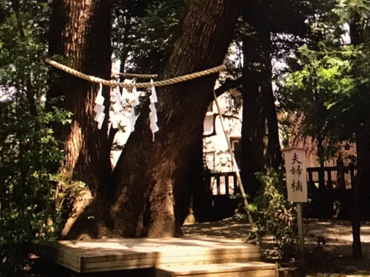 お氷川様 武蔵一宮氷川神社総本社代理参拝承ります 縁結び、勝ち運、災難除け、運気上昇  由緒あるパワースポット イメージ6