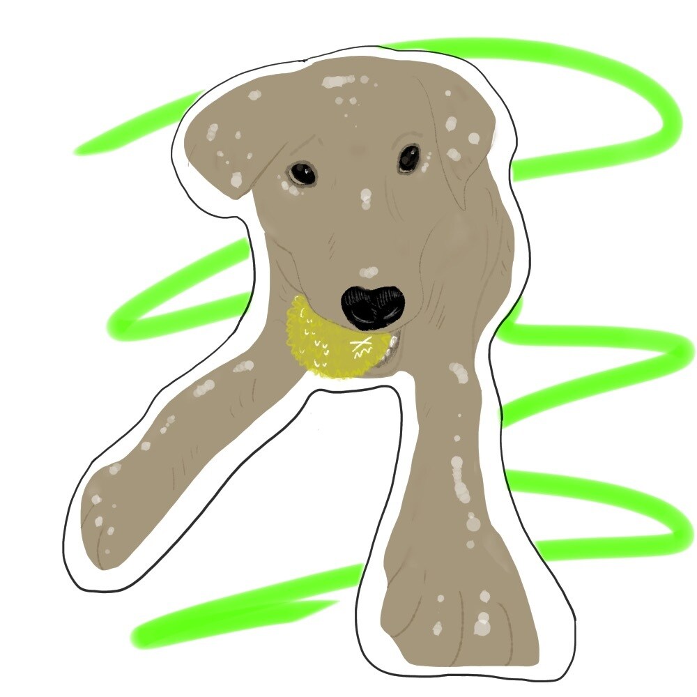 ペットのイラスト作成します SNSアイコンなどに使用するイラストを作成させて頂きます！ イメージ4