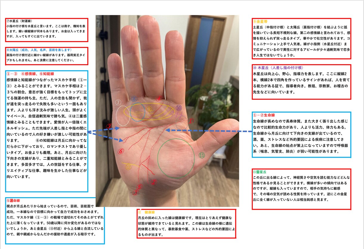 手相リーディングマスターが手相鑑定をします 図解で納品。新たな自身の発見があるかも!! イメージ1