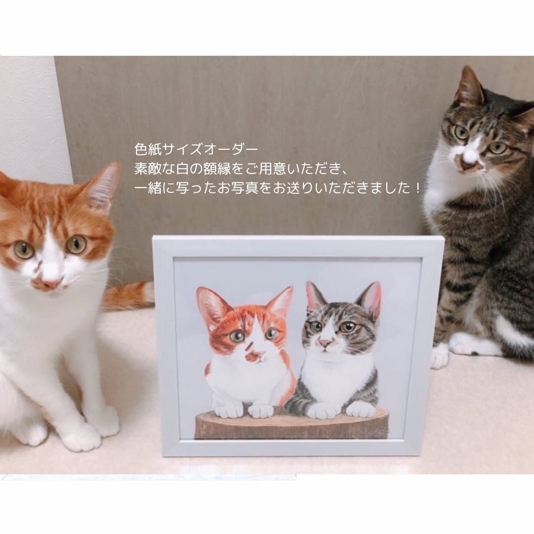 原画郵送！かわいい猫さんやペットの似顔絵描きます ハガキサイズ送料無料／イラスト／肖像画／額縁／うちの子／絵画 イメージ9
