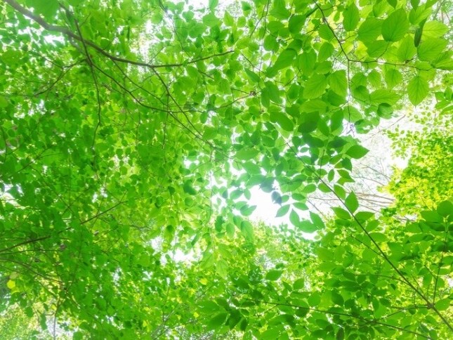40～60代の女性の悩み・不安・愚痴何でも聞きます 子供の不登校★嫁姑関係★人間関係★更年期の不調 イメージ9