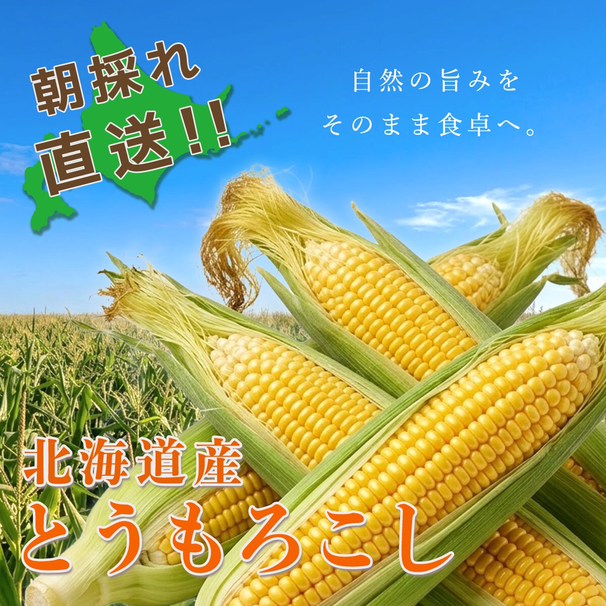 商品の魅力を伝える商品画像を制作します 想いに寄り添い、伝わるデザインを制作いたします！ イメージ2