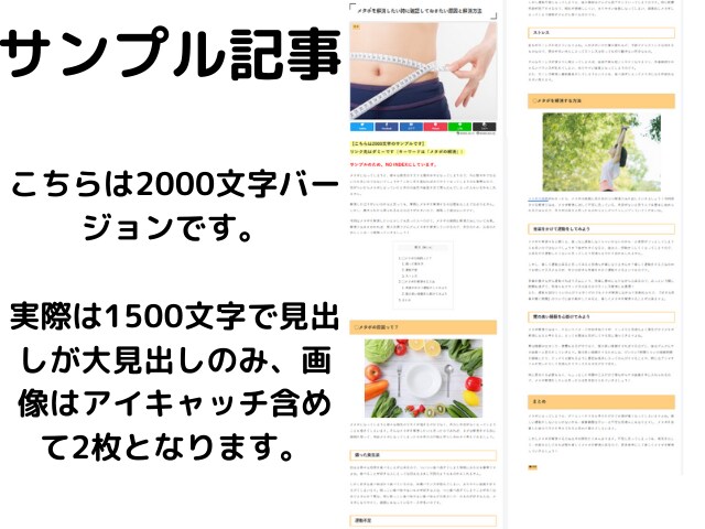大手サーバーサブドメイン本格ブログからリンクします 画像を使ったブログ記事1500文字からの2本セットの被リンク イメージ3