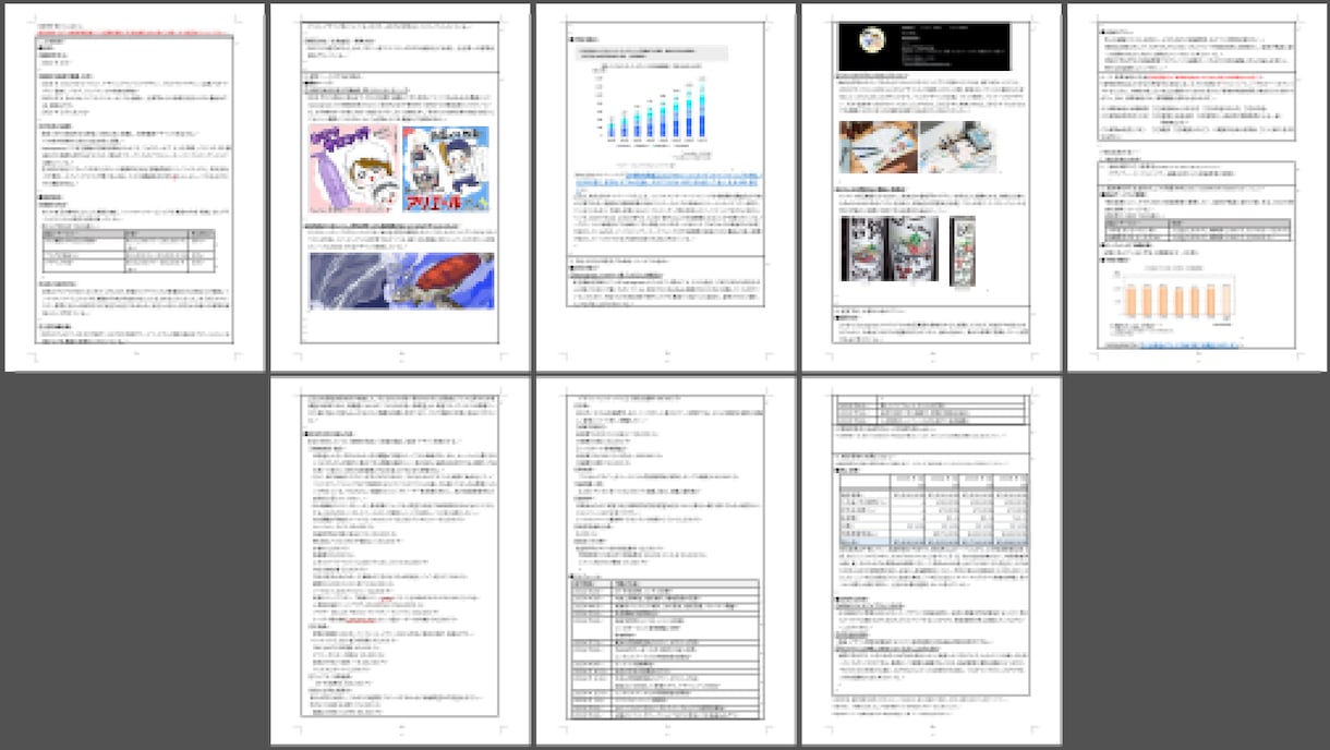 1枠∥小規模事業者持続化補助金の計画書を支援します 【ココナラNo1】短納期・高品質で個人／法人の採択実績多数 イメージ7