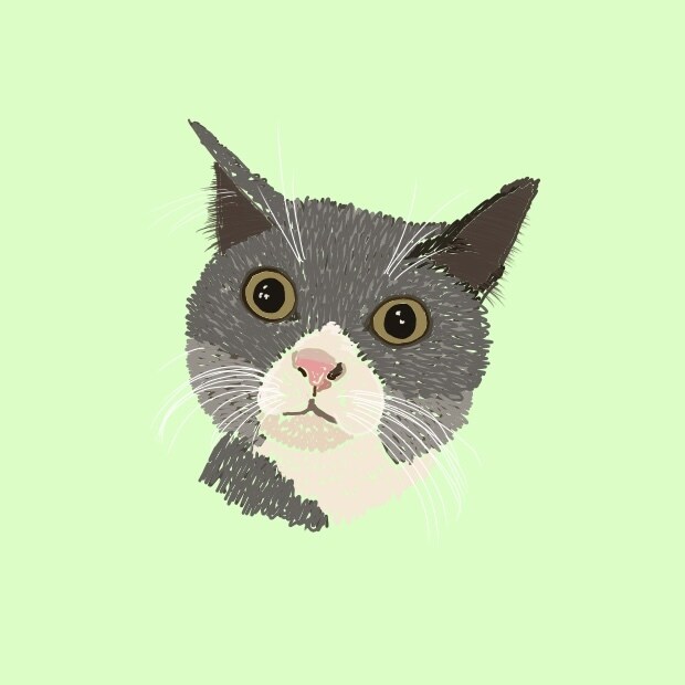 ペットの似顔絵描きます シンプル　イズ　ザ　ベストのスタイルでやってます イメージ4