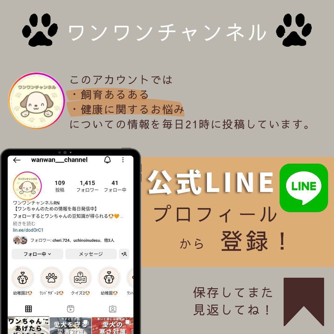 インスタグラムの制作・管理・数値アップを行います 毎日制作投稿・コンサルティング、すべて込みで対応可能です イメージ4
