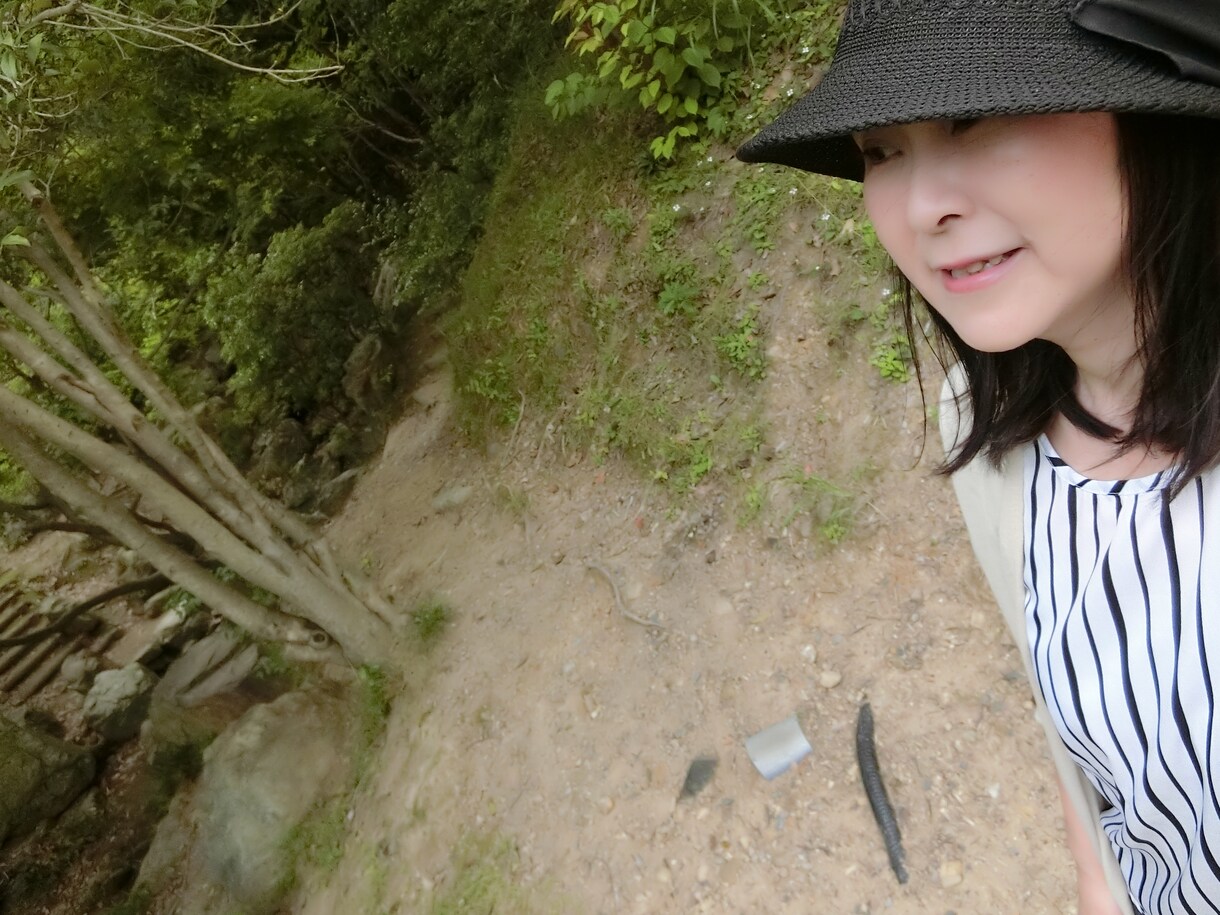 妻の気持ちがわからない夫へ、妻の本音教えます 妻からの暴言・暴力に悩んでいる男性へ！ イメージ1