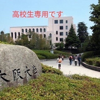 阪大一桁合格が未完答案を添削し得点を最大化します 未完の答案を診断し、合格までに必要な手順を具体指導します イメージ1