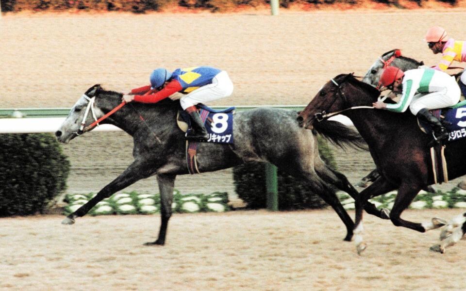 競馬の楽しみ方【初心者向け】お教え致します 初心者向け競馬講座です！知識ゼロでも大丈夫！ イメージ1