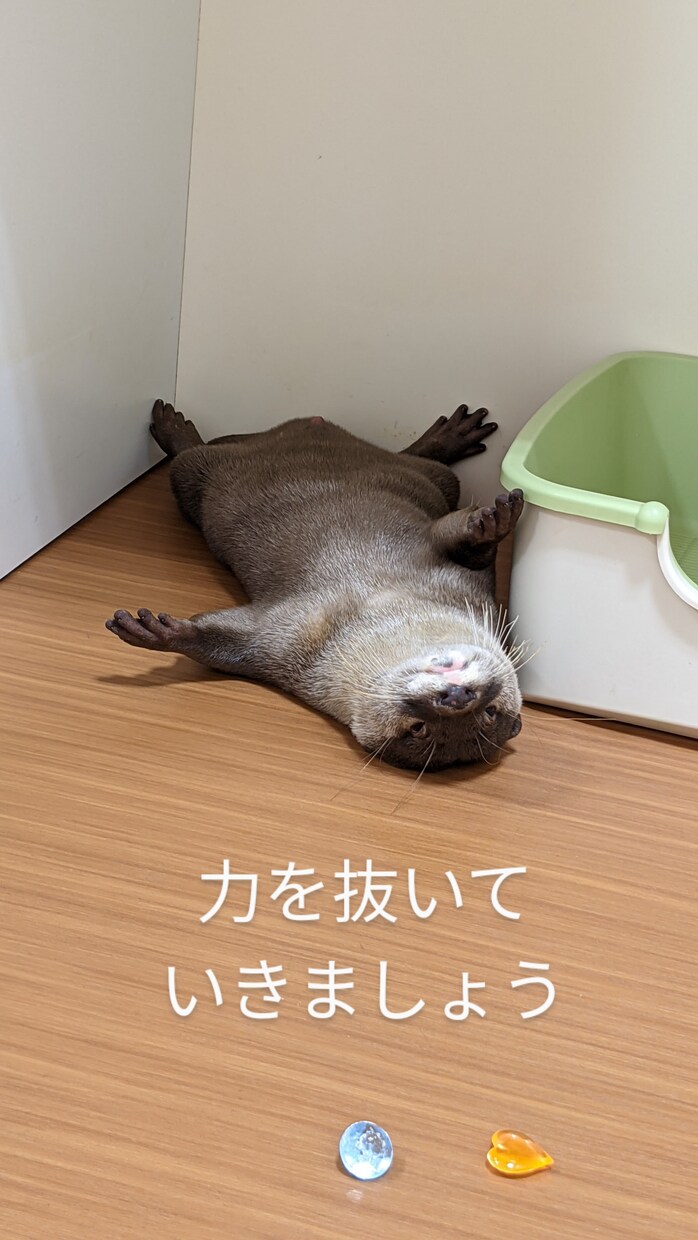 チャット相談！経験者がうつ病など相談に乗ります いじめ、うつ病などの経験者が相談に乗ります イメージ1