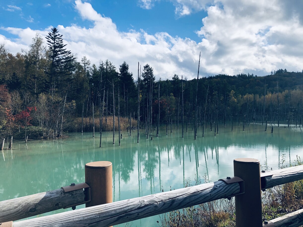 夏休みに向けた旅行プランを一緒に検討します 行きたい旅先でのプランに希望を詰め込んでスケジューリング！！ イメージ8