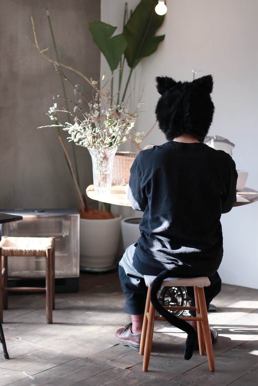 話を聞きます 話を聞く猫です。カウンセリングでもコーチングでもありません。 イメージ2