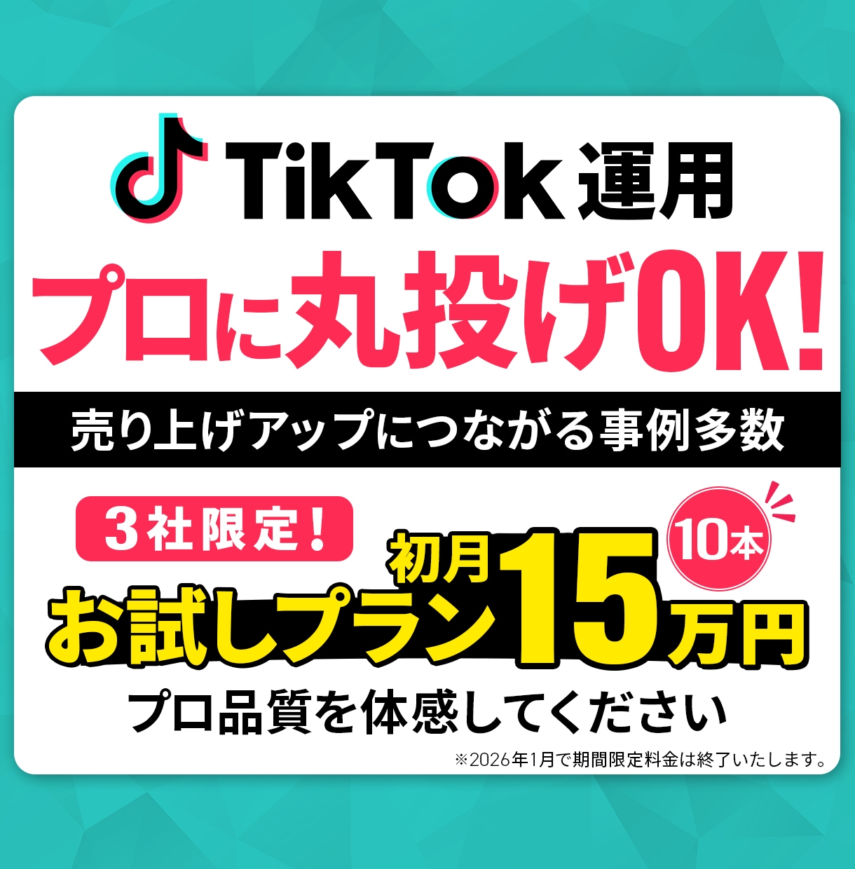 プロに丸投げ！TikTokアカウントを運用します TikTokで収益に繋げるためのサポートを行います イメージ1