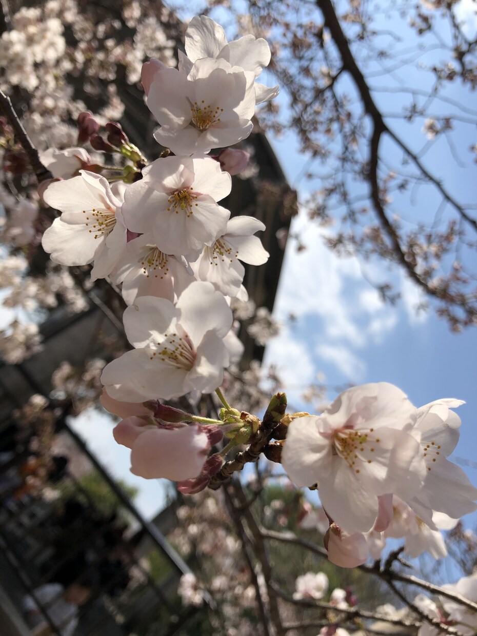 話し相手になります 普段溜め込んでる悩みなど聞きます イメージ1
