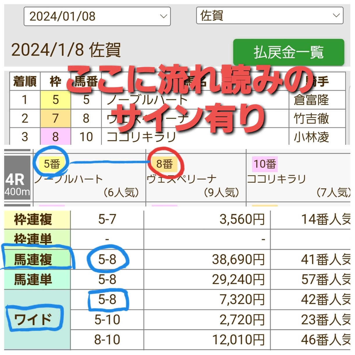 当日のレース結果のみで馬券になる手法教えます 共に穴馬、好レースを見つけましょう！ イメージ1