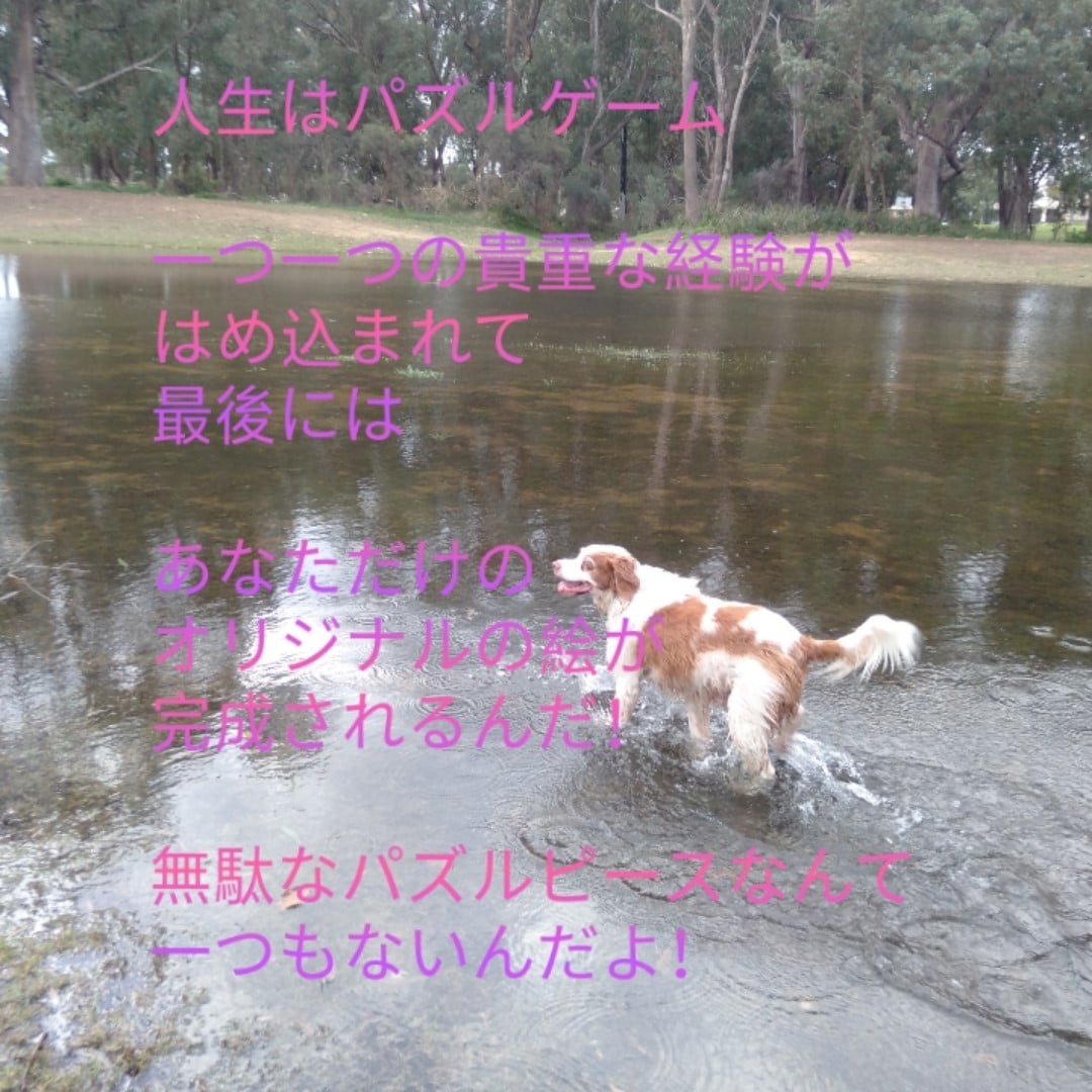 心の曇り空、意識改善、人生迷子等のお手伝いします 思考方を少し変えるだけで、今までとは違う景色が見え始めます！ イメージ4