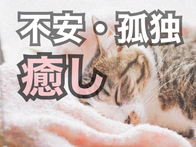 元精神病院勤め・当事者の私がお話聴きます 話下手でも大丈夫です まずはあなたの声を聴かせてくださいね イメージ1