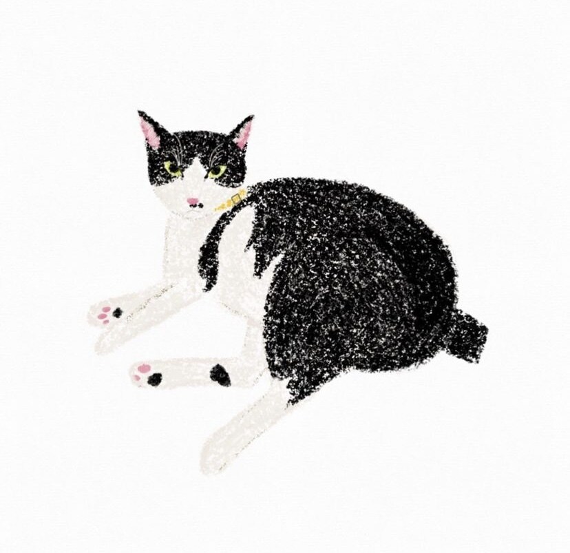 ペットのイラストを描きます あなたのお家の小さな家族（ペット）の絵を描かせてください！ イメージ7