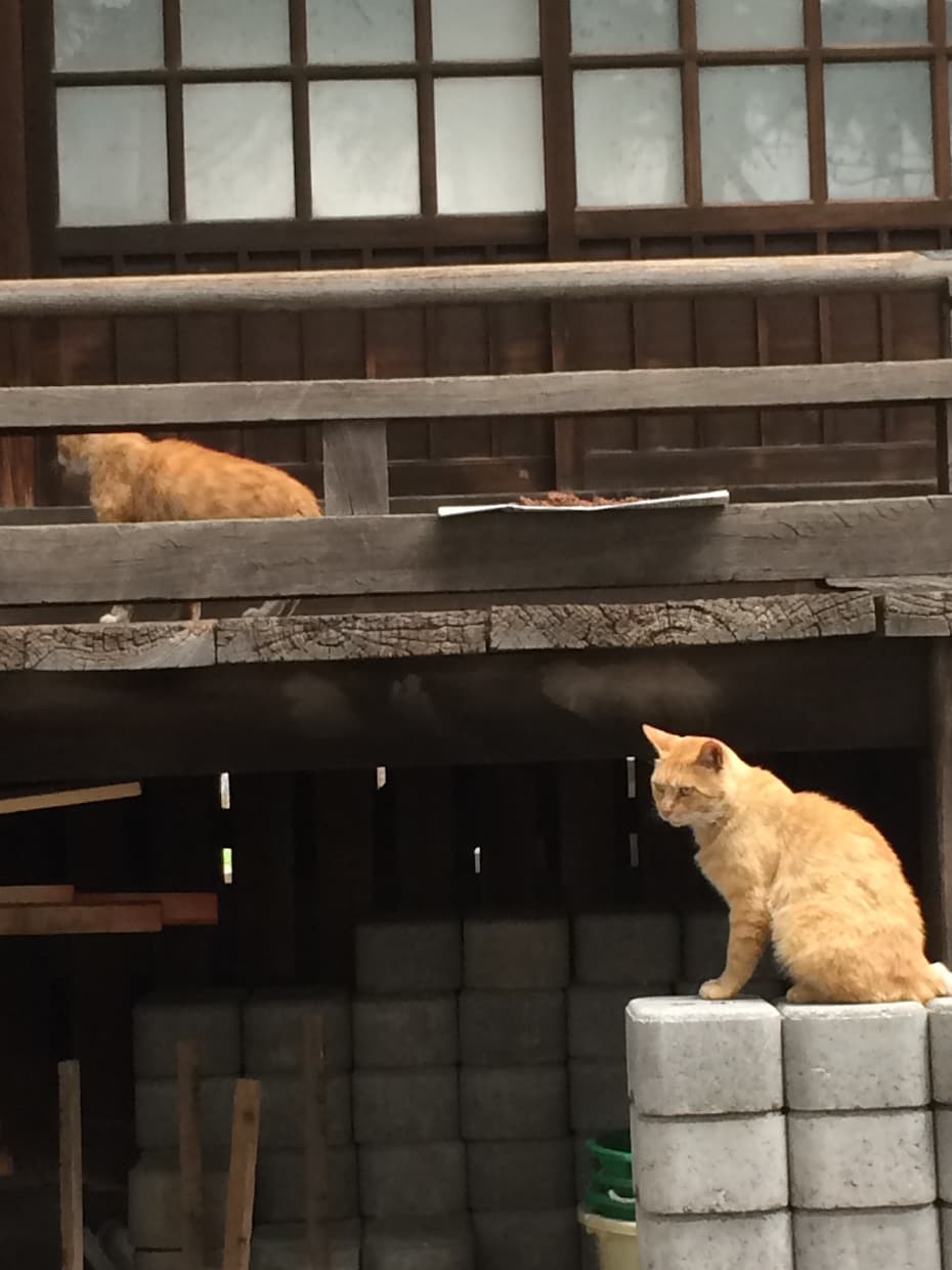 お、うまい話、と思った時の判断基準教えます その話、本当ですか？信じて後悔しませんか？ イメージ3
