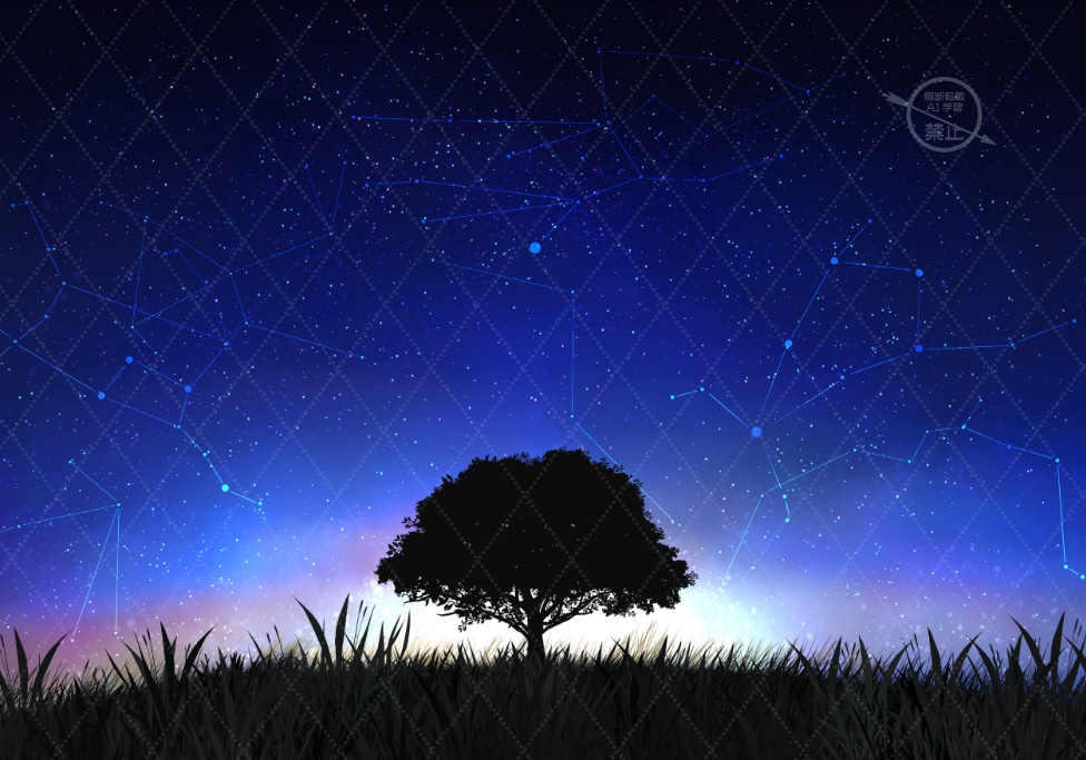 星空や海など幻想的な一枚絵をお描きします しっかりとヒアリングをして希望に沿ったイラストを作成します イメージ3