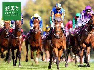 競馬初心者の為の馬券の買い方詳しく教えます 的中率を高める方法徹底解説、週末の競馬の注目馬を提供します。 イメージ1
