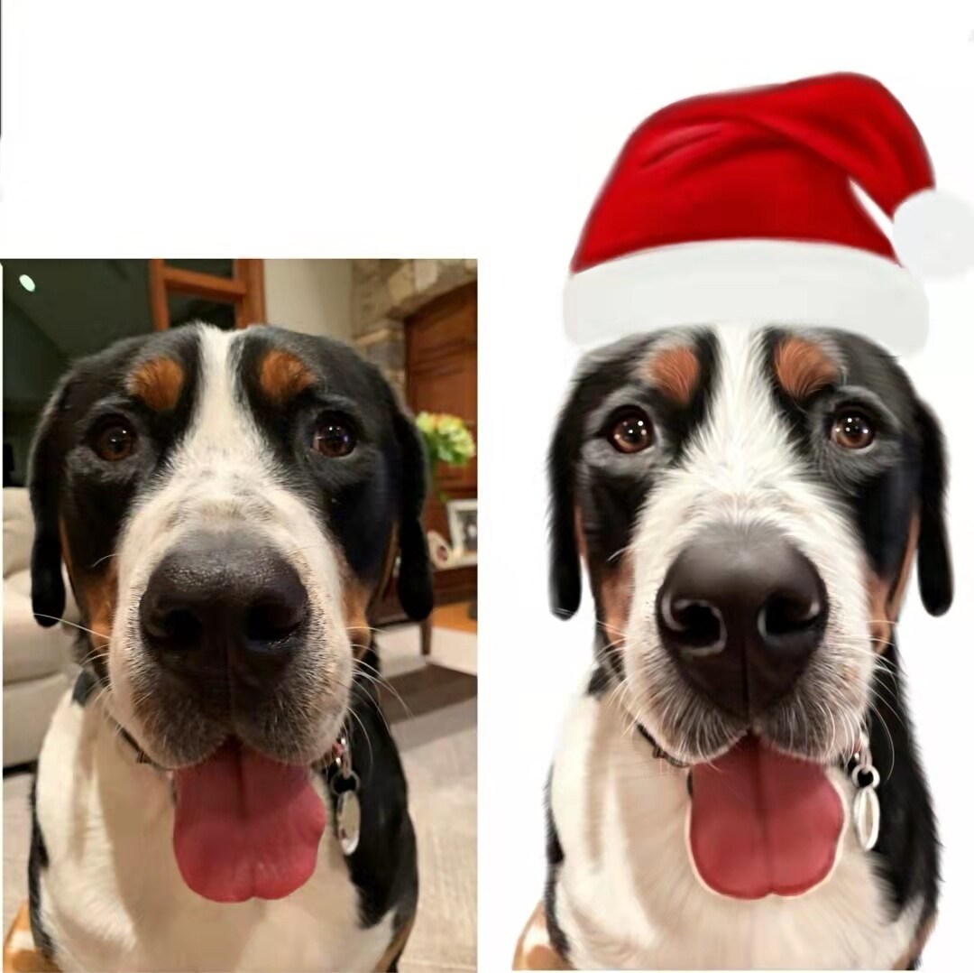 カスタム手描きデジタル犬猫ペットの肖像画ます あなたの写真からのカスタムイラスト イメージ5