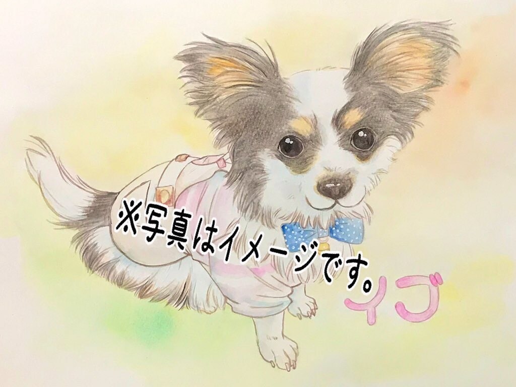 ペットの似顔絵お描きします 大切な思い出を形にしたい方へ(基本料金 一匹になります) イメージ10