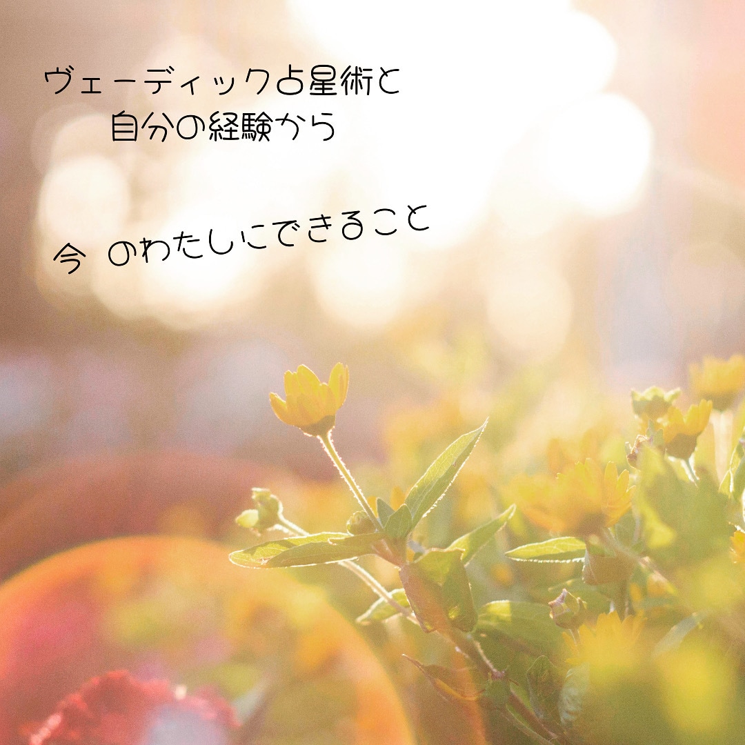ヴェーディック占星術でテーマ別に読み解きます ヴェーディック占星術で人生の色々なテーマをリーディング イメージ2