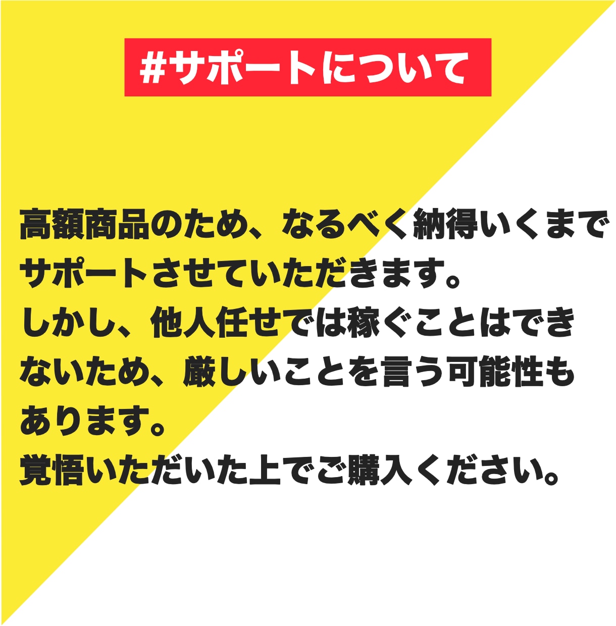 本当は教えたくないズルいアフィリエイトを教えます ブログ未経験から現実的に月20万円を目指す具体的なノウハウ イメージ8