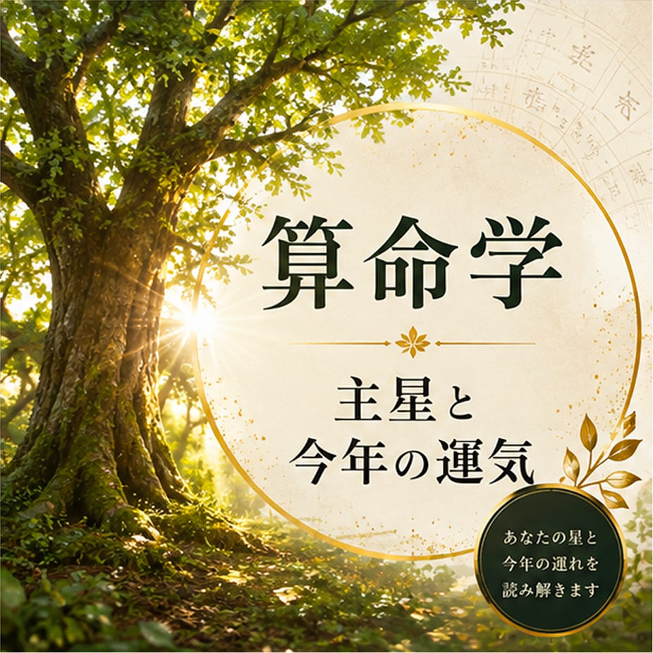 算命学◆あなたの主星と今年の運気を視ます 【お試し鑑定】まずは自分の主星を知り、本質を知ることから イメージ1