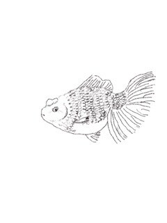 シンプルでオシャレなイラストを作成いたします ＳＮＳやグッズなど用途に合わせたオリジナルイラストの作成 イメージ8