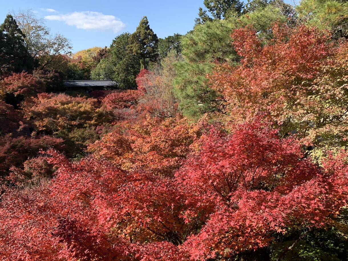 心と体を整えやさしい安らぎを届けます 誰にも言えない悩みも安心してご相談ください イメージ4
