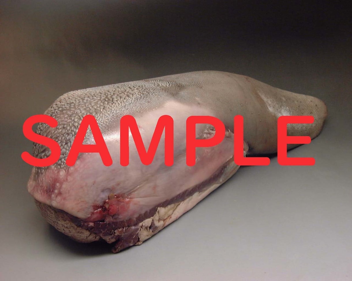 お肉の写真山ほどあります お肉の販売促進に！まとめてお安く提供します。 イメージ2