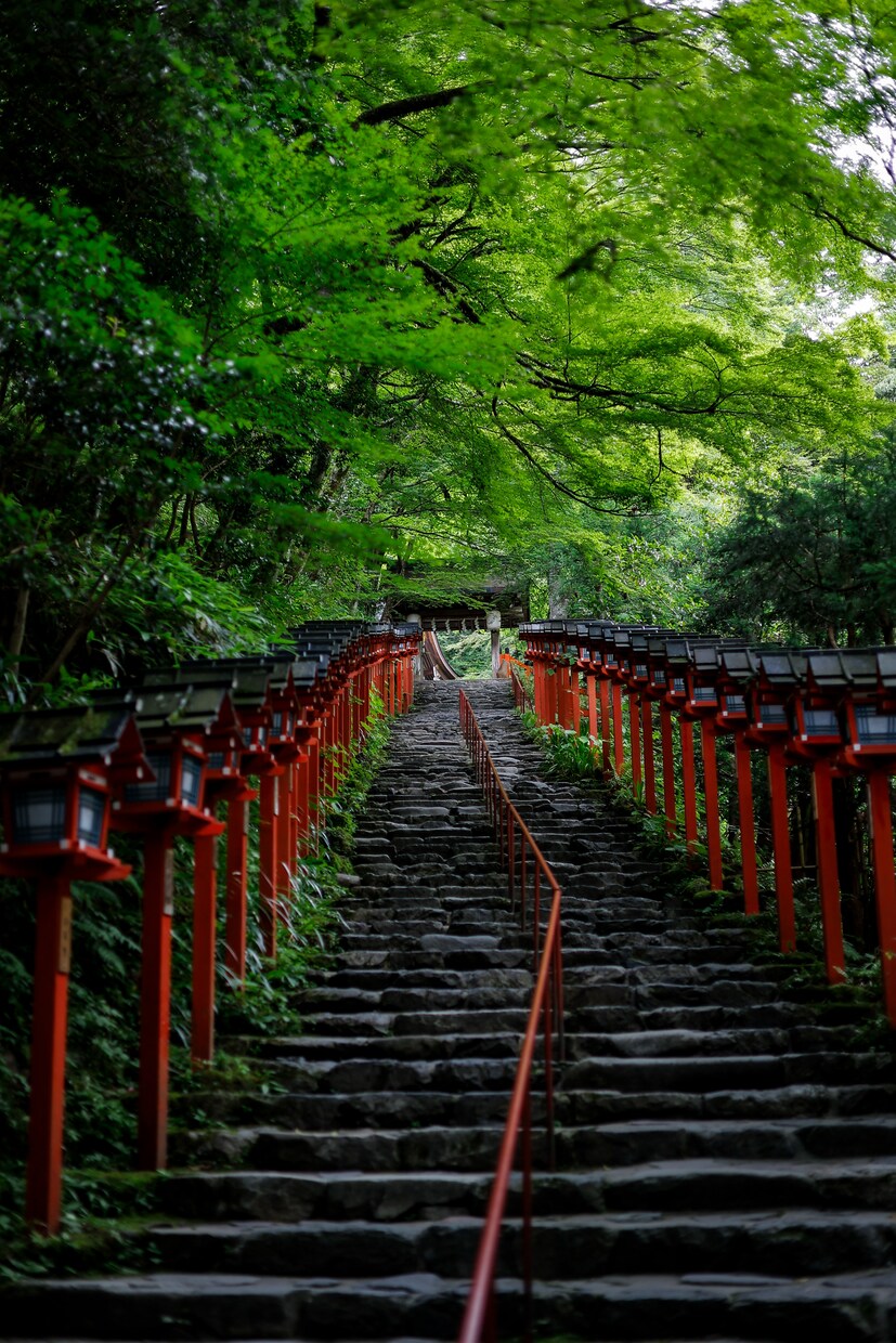 風景写真提供、撮影代行します 風景撮影は任せて！風景撮影の代行承ります！ イメージ2