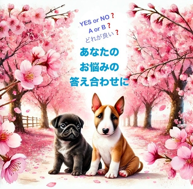 YES / NO・2択・3択をシンプルに占います ⭐︎恋・仕事・何でもOK⭐︎選択肢に迷った時は是非！3件まで イメージ1