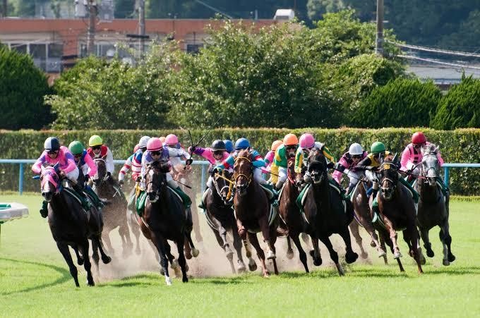 サイトからデータを収集、指定のファイルで納品します 一般サイトから競馬、競艇、競輪、パチンコまで幅広く対応！ イメージ2