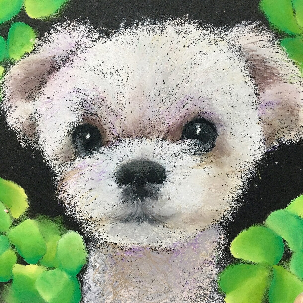 ペットの似顔絵をチョークアートで描きます 手書きならではの温かみある作品です♡ イメージ6