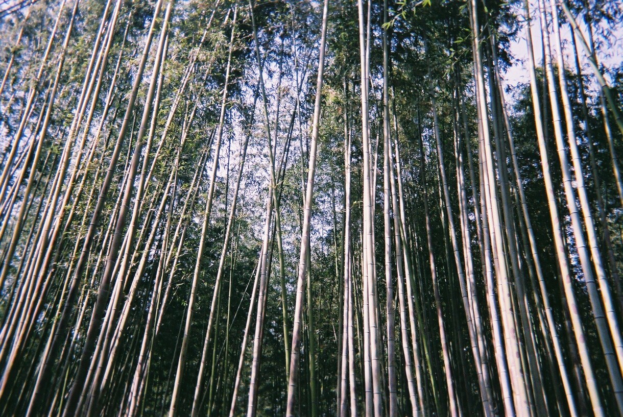 楽しい時間の提供をします どんなに些細なことでも、逆に大きなことでも全て聞きます！！！ イメージ1
