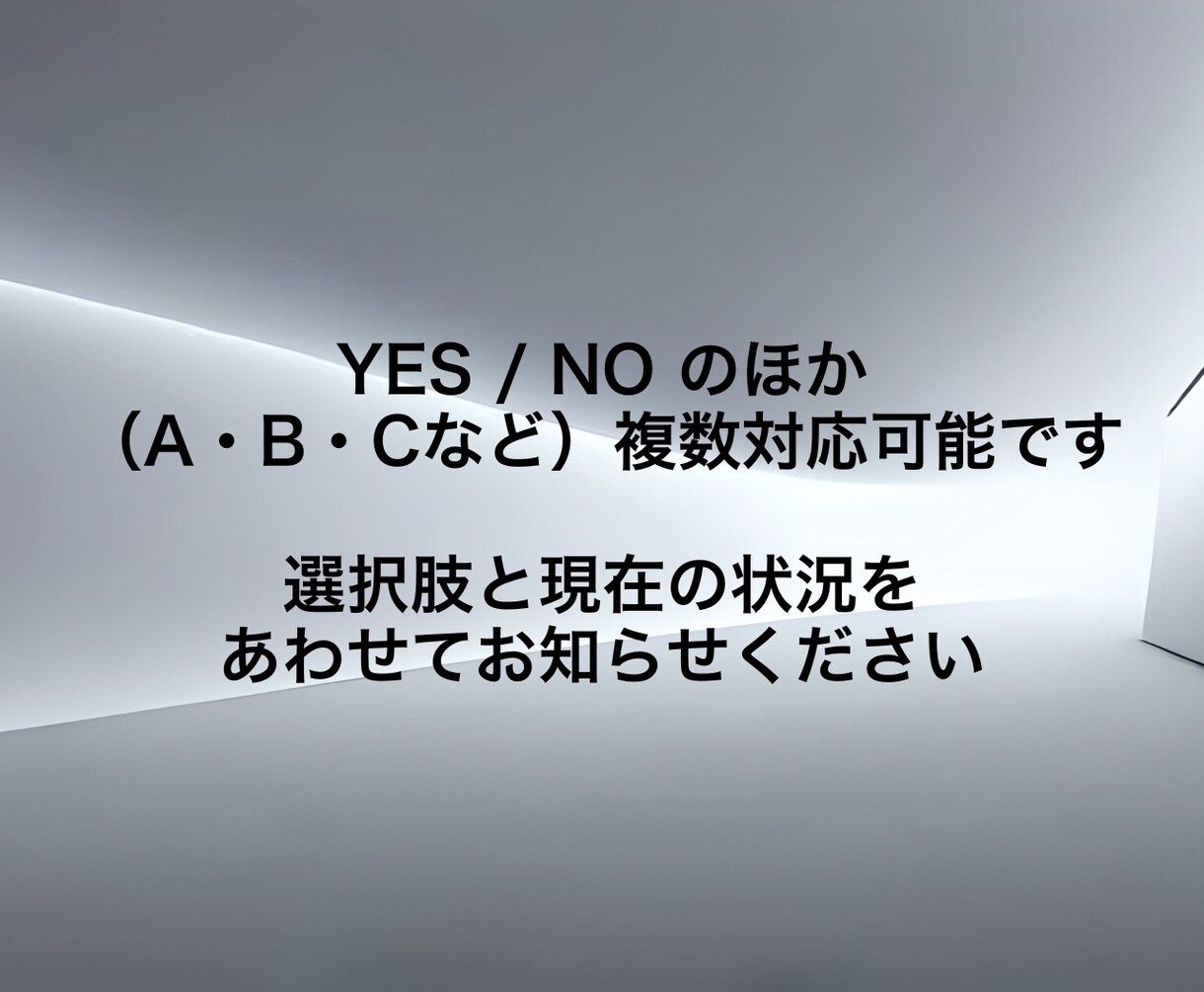 人生の選択をYES / NOでお答えします 選択肢を教えてください。決める前に、客観的な視点を。 イメージ3