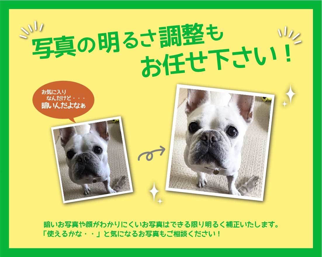 写真でLINE・Twitchスタンプ制作します ペット・お子様・ライバー様◎透過PNG納品◎高視認性デザイン イメージ3