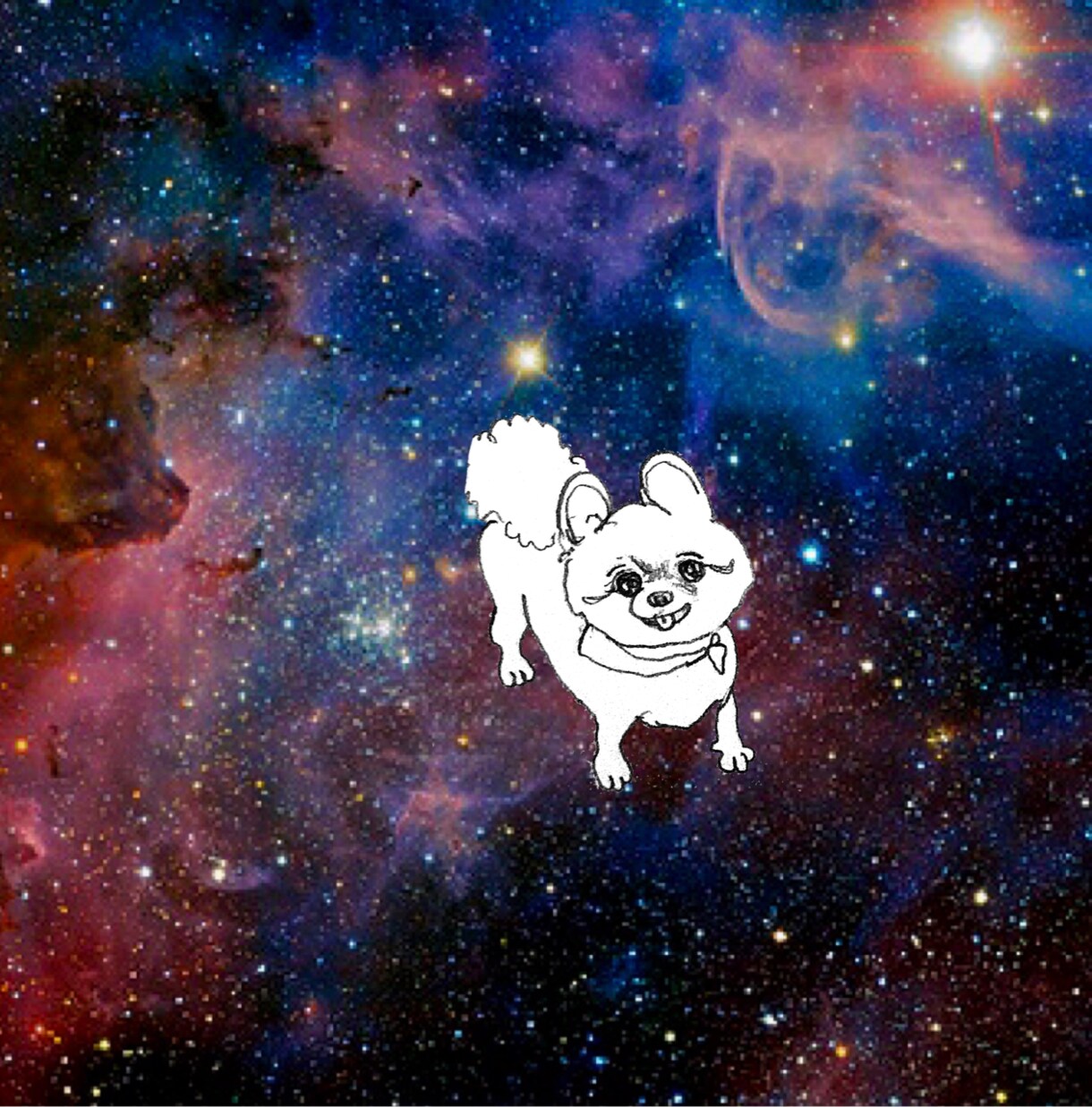 ペットのワンちゃんイラスト描きます 【犬限定】✰︎あなたのワンちゃんを宇宙に浮かばせませんか✰︎ イメージ2