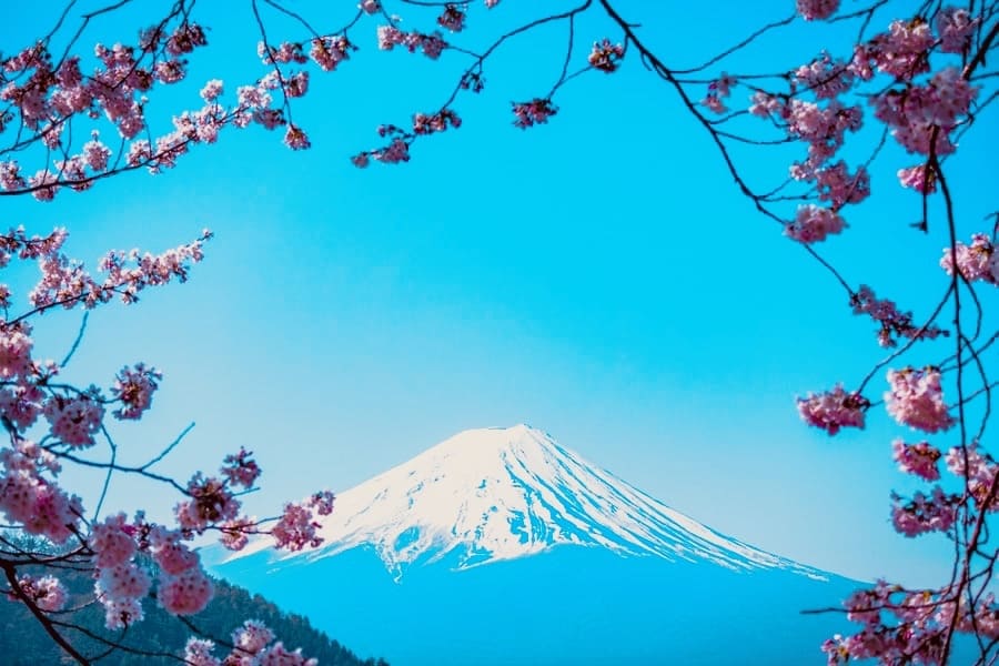 free conversationをします Japanese☆aimed at foreigners☆ イメージ1