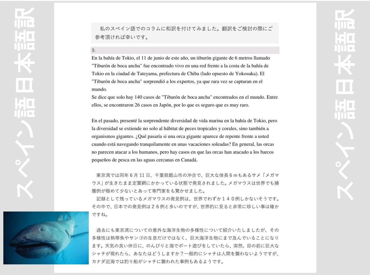 日本語⇔スペイン語を正確に翻訳します 日本在住歴３３年のメキシコ人スペイン語講師にお任せください イメージ4