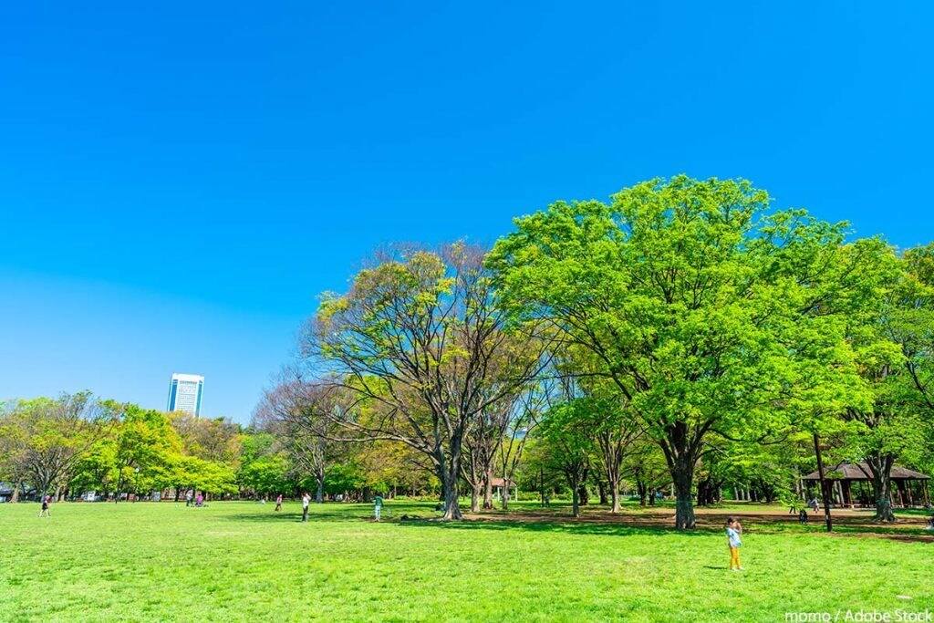 AIを活用して人物写真の背景・服装を編集します 出来るか出来ないかお気軽にご質問ください イメージ1