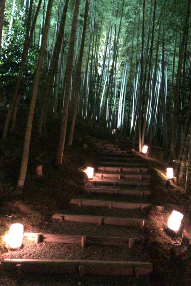 ベストな旅行プランご提供いたします 経験豊富なトラベルコーディネーターにお任せを！ イメージ6