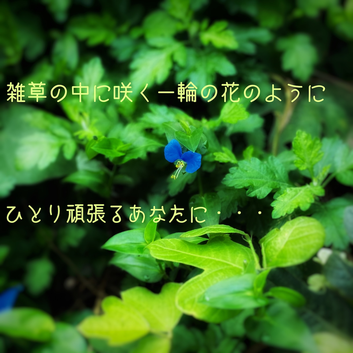 死にたくなるほど辛い時、あなたにそっと寄り添います 世の中色々なニュースが飛び交い、憂鬱になってしまった時に。 イメージ1