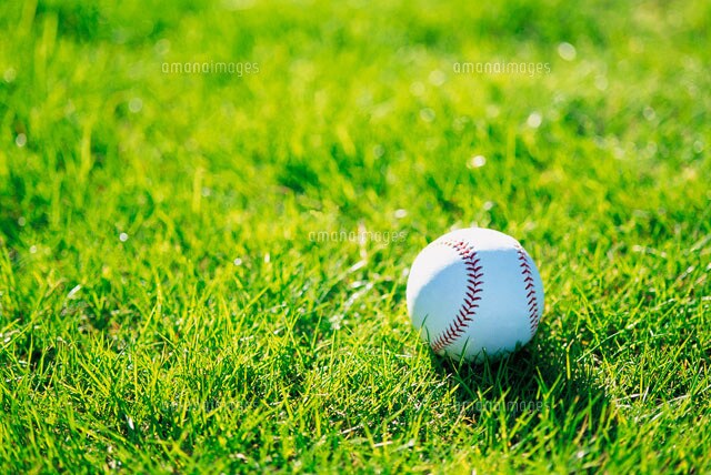 野球で勝つ方法を教えます 野球の監督、野球で勝ちたい方、野球を勉強したい方 イメージ1